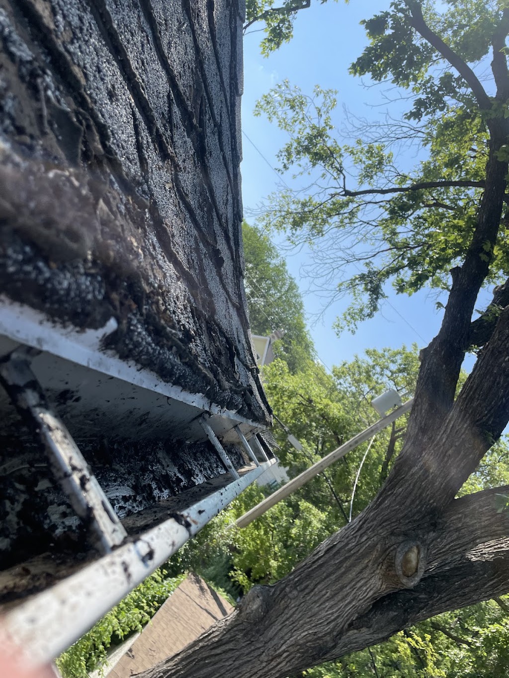 Above & Beyond Property Maintenance | 882 Bannerman Ave, Winnipeg, MB R2X 1K1, Canada | Phone: (204) 803-2530