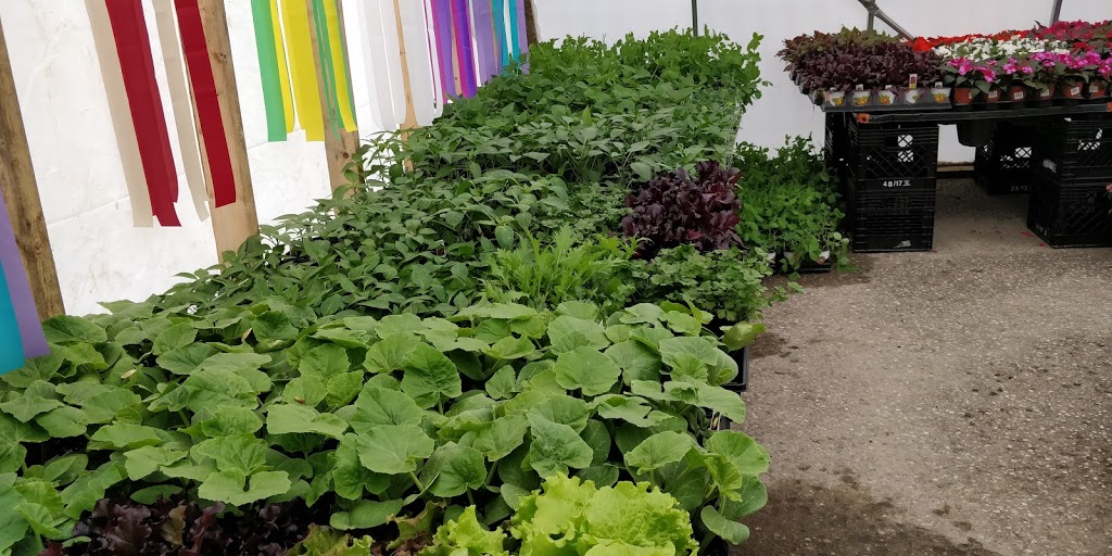 Foodland - Durham | 344 Garafraxa St S, Durham, ON N0G 1R0, Canada | Phone: (519) 369-3130