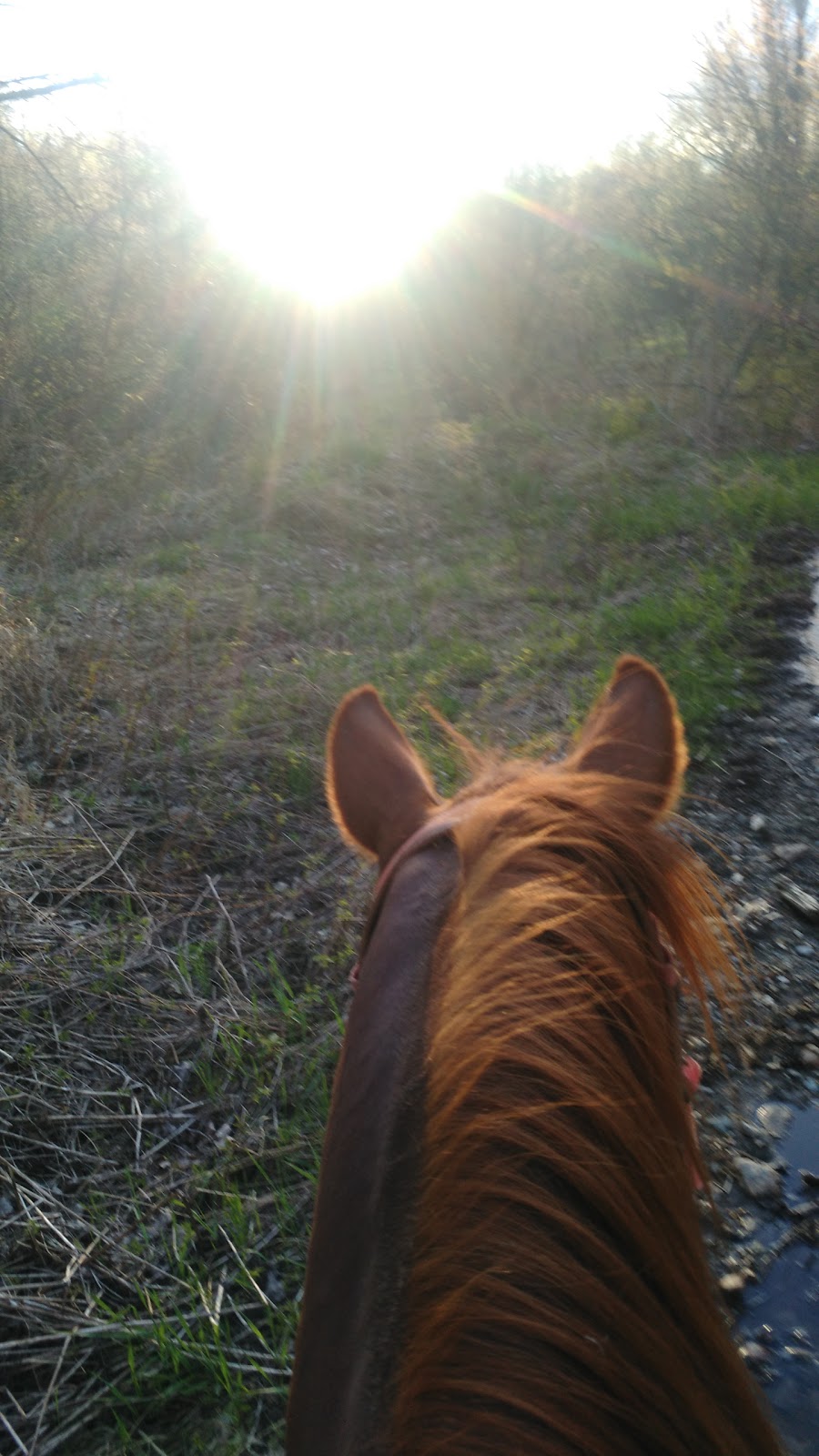 Vallee Du Cow-Boy | 2200 Route 161, Chesterville, QC G0P 1J0, Canada | Phone: (819) 382-2576