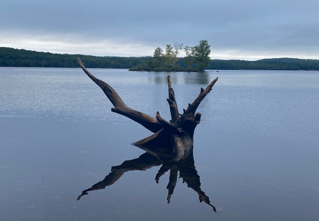 Driftwood Provincial Park - Brumm Campground | 301-253 Driftwood Park Rd, Stonecliffe, ON K0J 2K0, Canada | Phone: (613) 586-2553