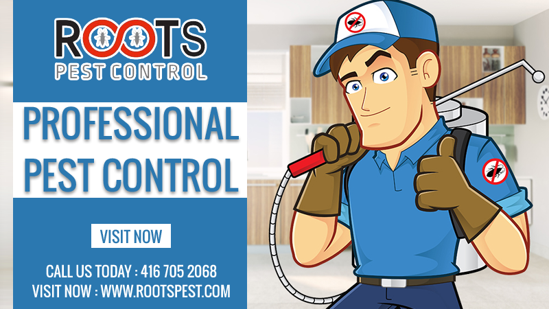 Roots Pest Control | postal code, 475 Bramalea Rd Unit #183, Brampton, ON L6T 2X3, Canada | Phone: (416) 705-2068