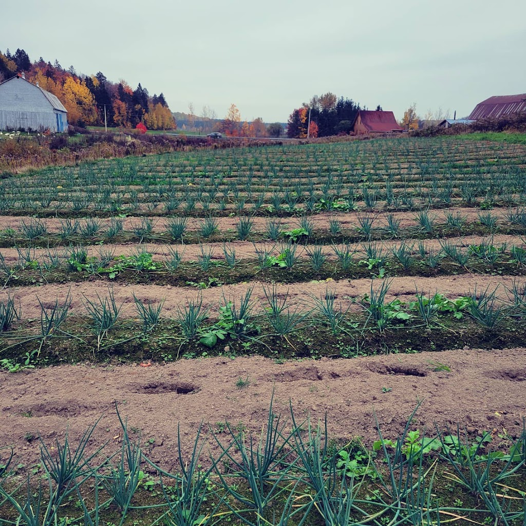 Ferme ABC Mékinac Inc | 491 Chem. Haut du Lac N, Saint-Tite, QC G0X 3H0, Canada | Phone: (819) 609-8927