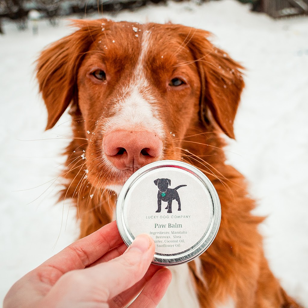 Lucky Dog Company | 413 Davidson St, Winnipeg, MB R3J 2V2, Canada | Phone: (204) 226-2675