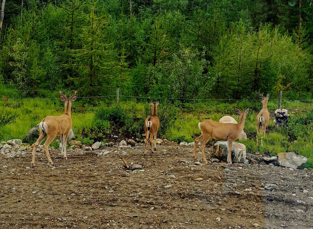 Sullivan Landing Residential Project | 105 Sullivan Dr, Kimberley, BC V1A 0A7, Canada | Phone: (403) 870-5657