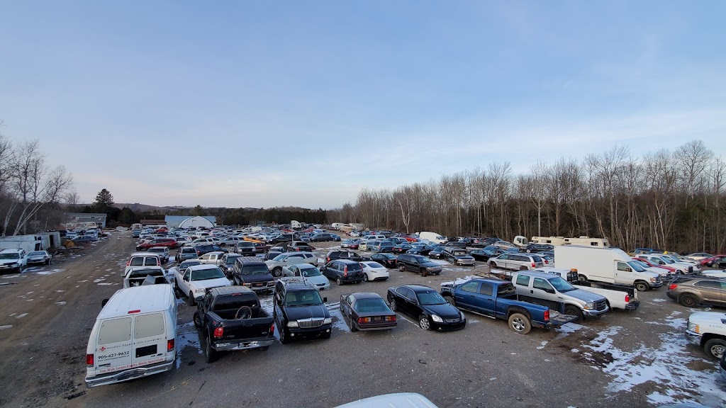 Roshan Impact | 91 Cowanville Rd, Newcastle, ON L1B 0N4, Canada | Phone: (905) 987-4636
