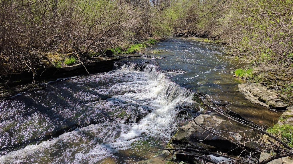 Royalton Ravine Park | Gasport Rd, Gasport, NY 14067, USA | Phone: (716) 439-7951