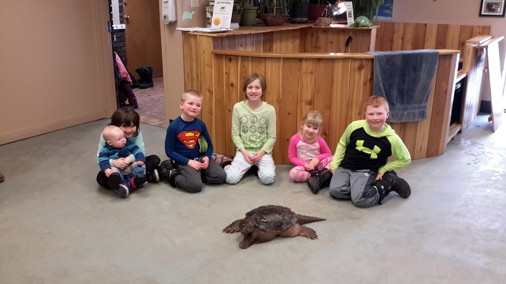 Ontario Turtle Conservation Centre | 1434 Chemong Rd #4, Peterborough, ON K9J 6X2, Canada | Phone: (705) 741-5000