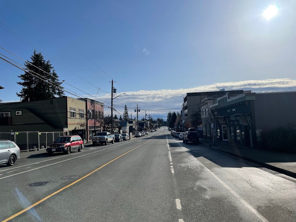 Roots and Branches Acupuncture | 2713c Dunsmuir Ave, Cumberland, BC V0R 1S0, Canada | Phone: (250) 650-3070