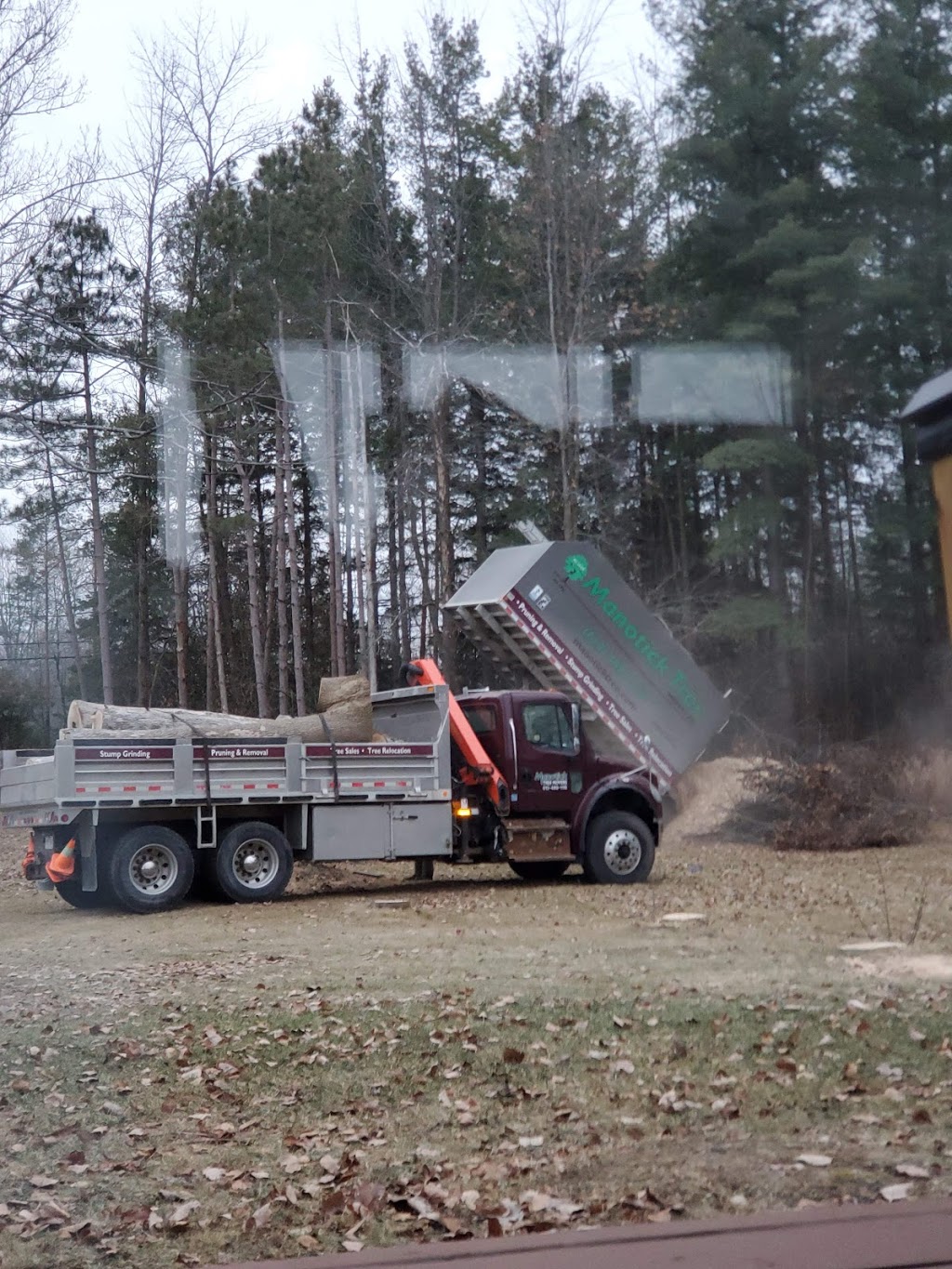 Manotick Tree Movers | 1966 Carsonby Rd W, North Gower, ON K0A 2T0, Canada | Phone: (613) 489-1116