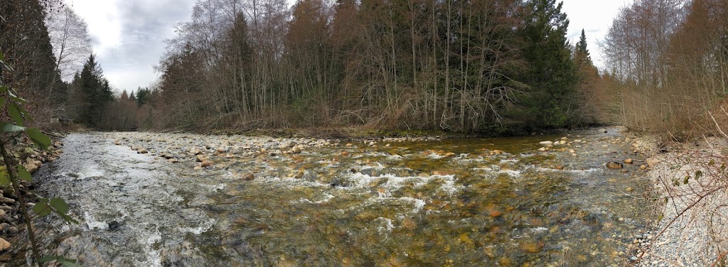 Big Maple Park | 4496 Sunshine Coast Hwy, Sechelt, BC V0N 3A1, Canada | Phone: (604) 992-9510