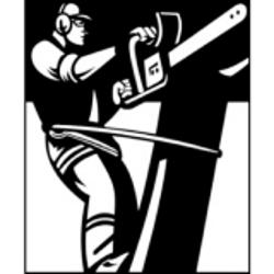 Sherlock Tree Removal | 26 1 St W, Inwood, MB R0C 1P0, Canada | Phone: (204) 861-0487