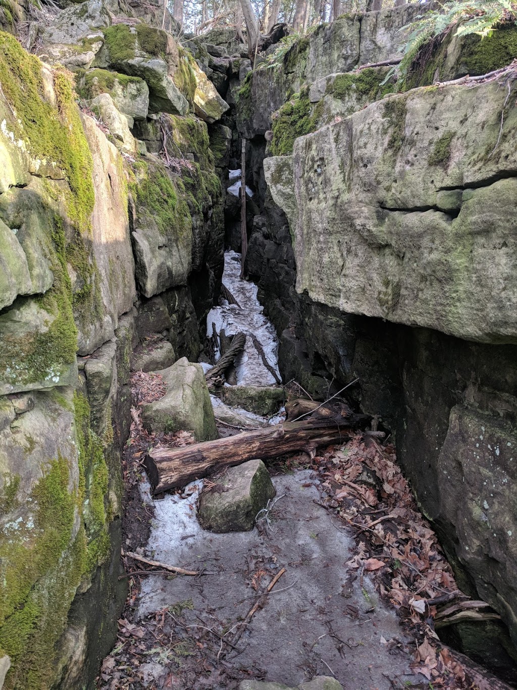 Rattlesnake Point Conservation Area | 7200 Appleby Line, Milton, ON L9E 0M9, Canada | Phone: (905) 854-0262