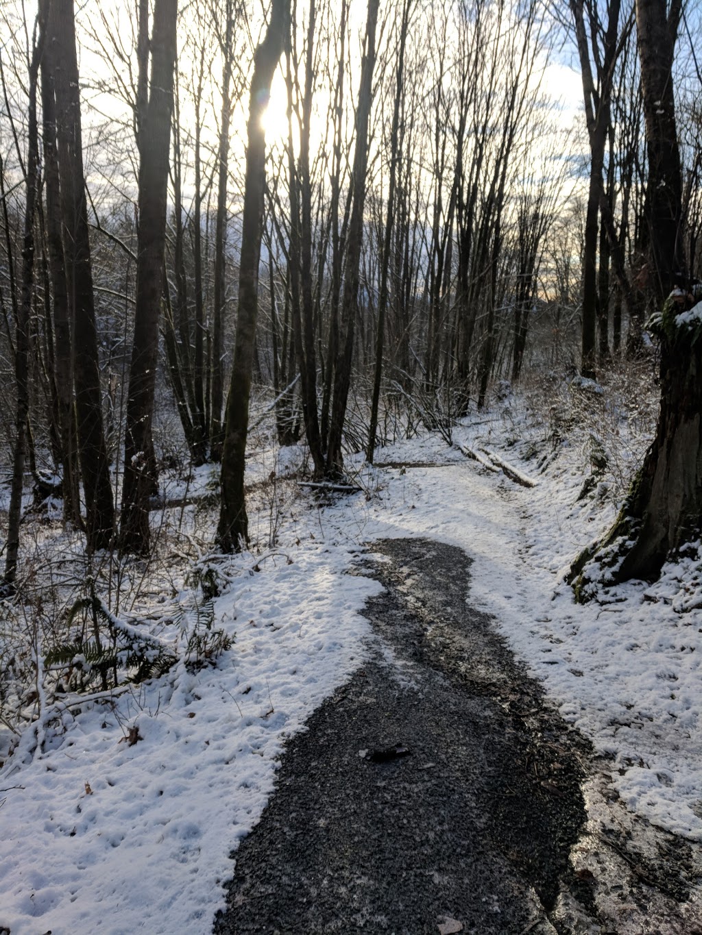 Southern Park | Abbotsford, BC V2T 5H7, Canada