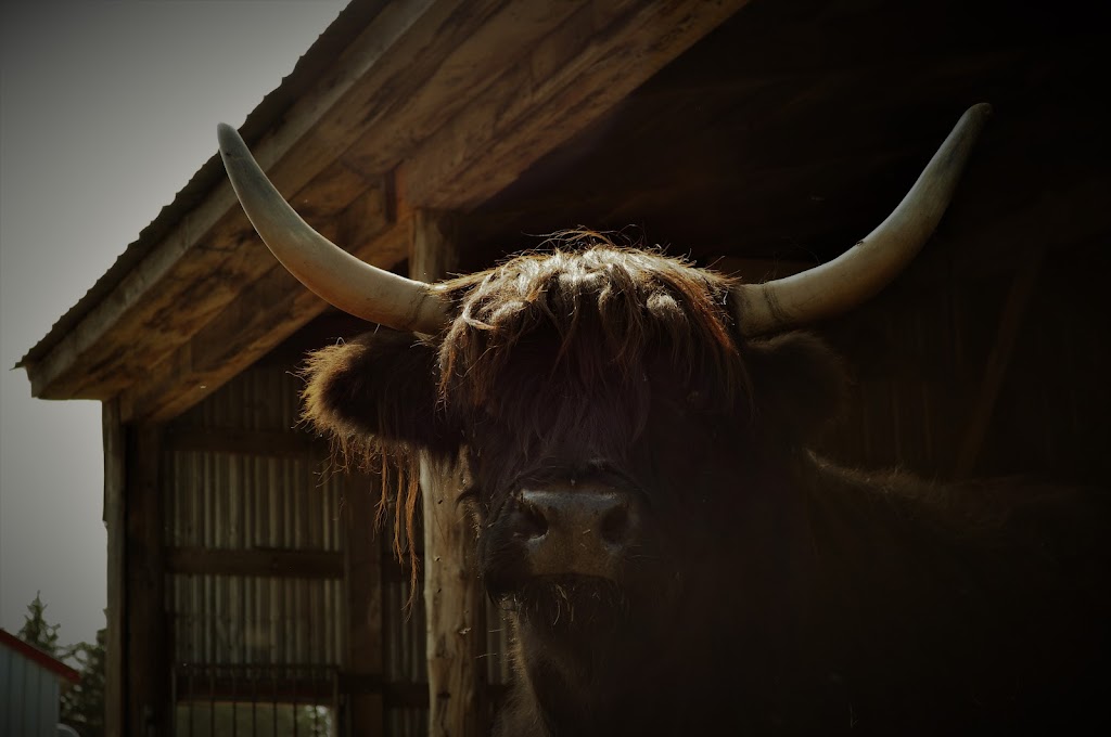 Ferme Genty senc | 1495 Chem. des Bouvreuils, Bécancour, QC G9H 4C9, Canada | Phone: (819) 698-1107