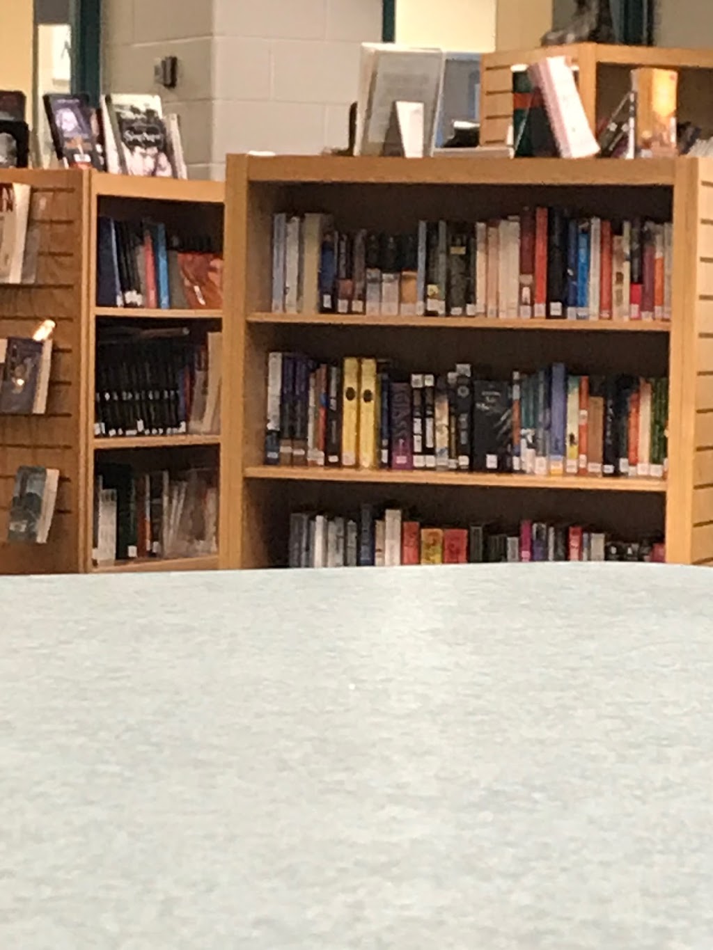 École Maurice-Lavallée | 8828 95 St, Edmonton, AB T6C 4H9, Canada | Phone: (780) 465-6457