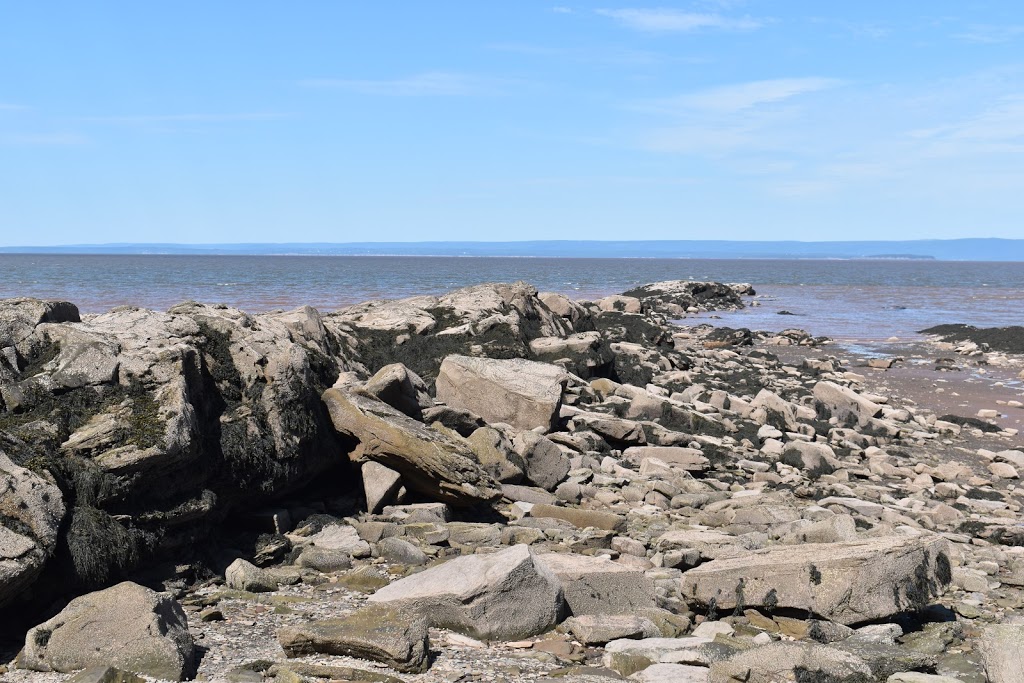 Joggins Fossil Cliffs | 100 Main St, Joggins, NS B0L 1A0, Canada | Phone: (902) 251-2727