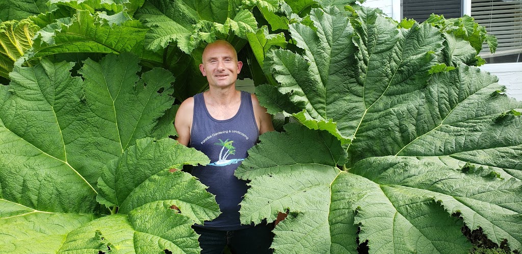 Paradise Gardening and Landscaping | 1547 McRae Ave, Victoria, BC V8P 1G4, Canada | Phone: (250) 857-7869