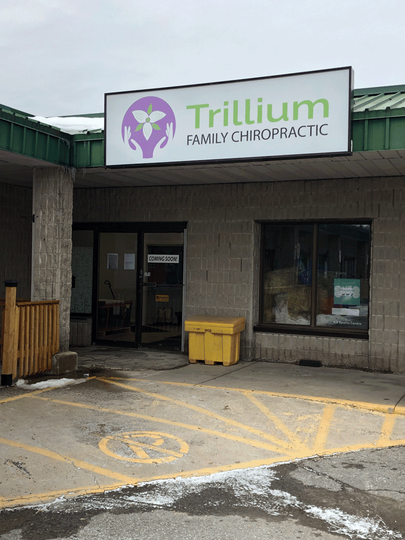 Trillium Family Chiropractic | 390 Flora St, Carleton Place, ON K7C 3M9, Canada | Phone: (613) 492-3000