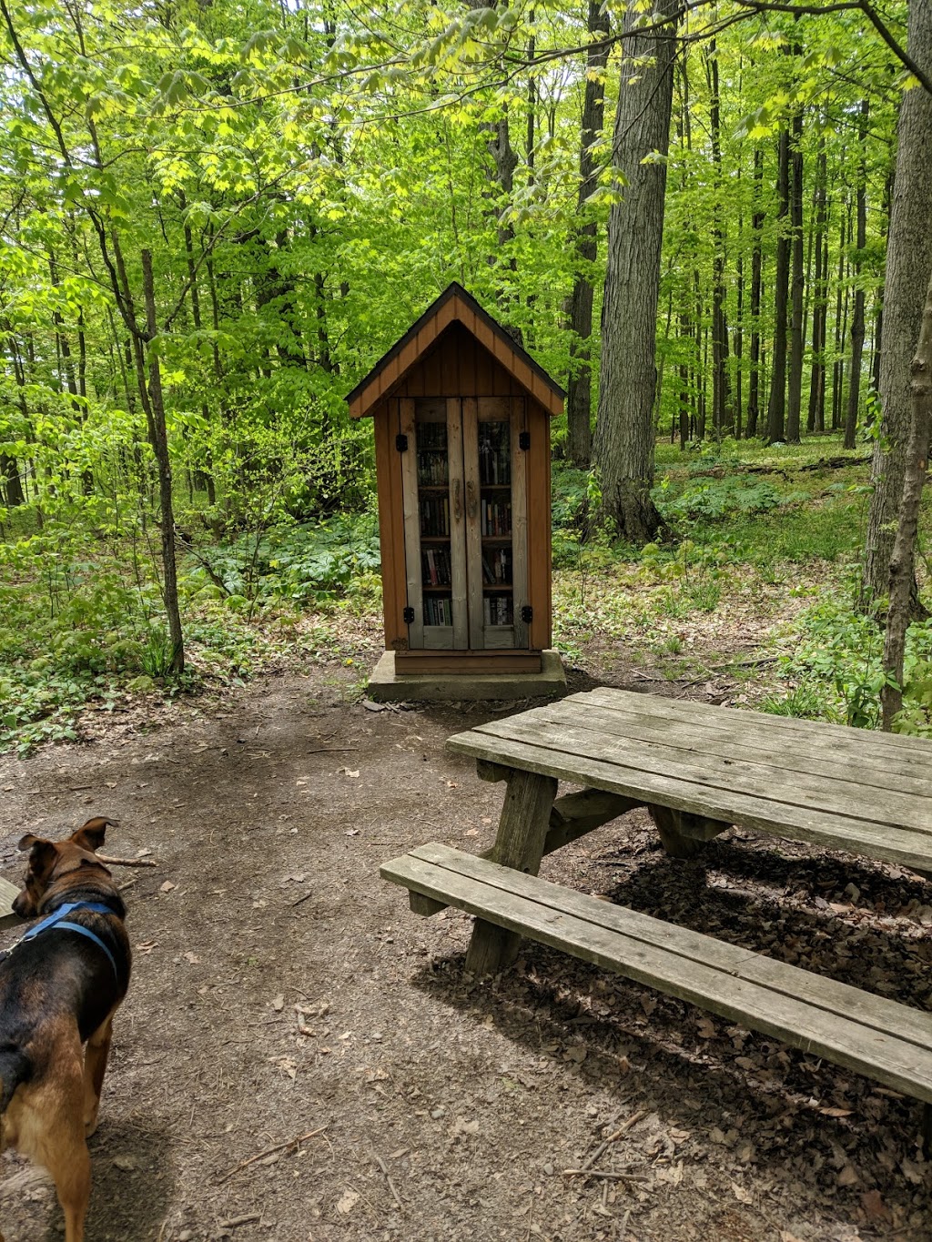 Knox Farm State Park | 437 Buffalo Rd, East Aurora, NY 14052, USA | Phone: (716) 652-0786