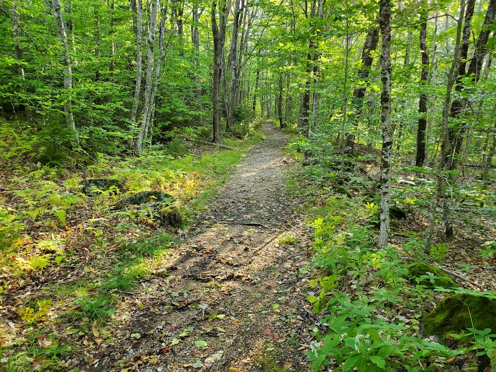 Valleyview Provincial Park | 960 Hampton Mountain Rd, Hampton, NS B0S 1L0, Canada | Phone: (902) 665-2559