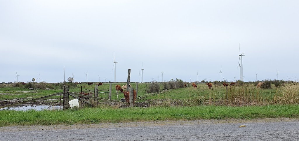 Blazing Saddles Farm | 433 County Rd 95, Wolfe Island, ON K0H 2Y0, Canada | Phone: (613) 572-5338