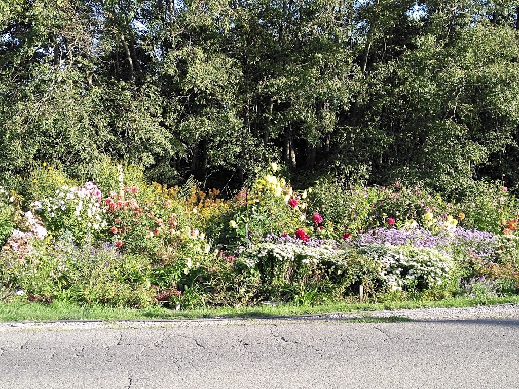 West Coast Horticultural Services | 9480 Finn Rd, Richmond, BC V7A 2L4, Canada | Phone: (604) 271-6520