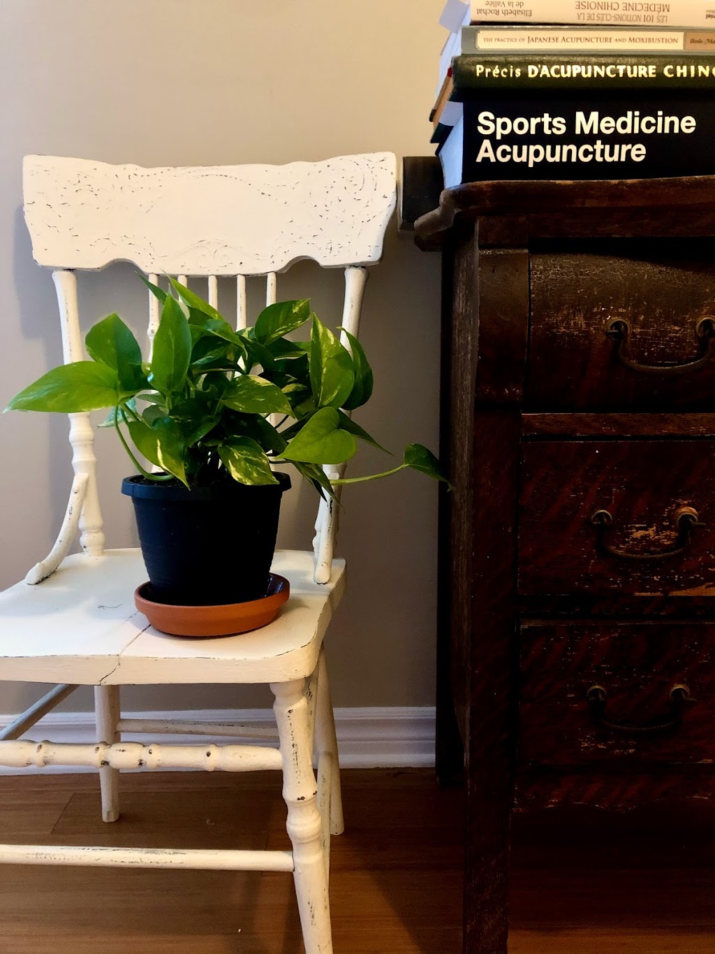 Élisa Ouellet-Gagnon, Acupunctrice | 858 Rue Shefford Ste 207, Bromont, QC J2L 1C3, Canada | Phone: (418) 904-4021