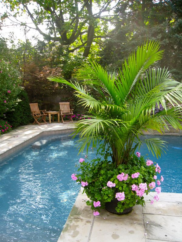 Office Plants Toronto | 1300 York Mills Rd, North York, ON M3A 1Z3, Canada | Phone: (416) 856-6310