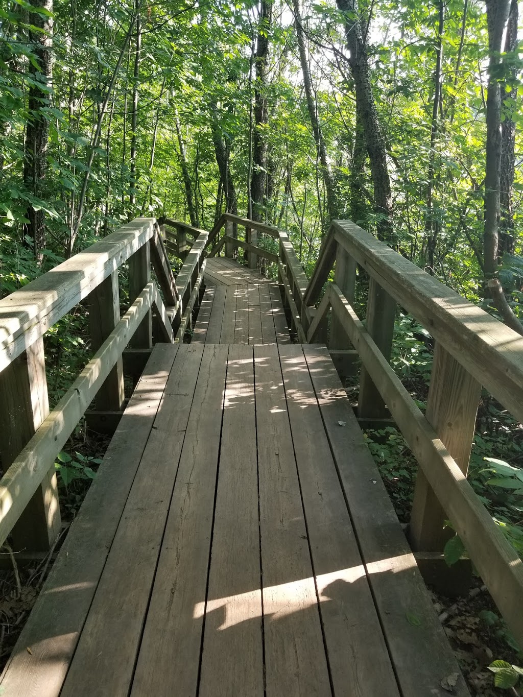 Ways of the Woods | 5234 Kelso Rd, Milton, ON L9T 2X7, Canada | Phone: (905) 878-5011 ext. 1256
