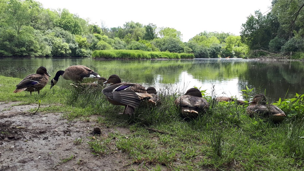 Eramosa River Park | 259 Victoria Rd S, Guelph, ON N1E 5P9, Canada | Phone: (519) 822-1260
