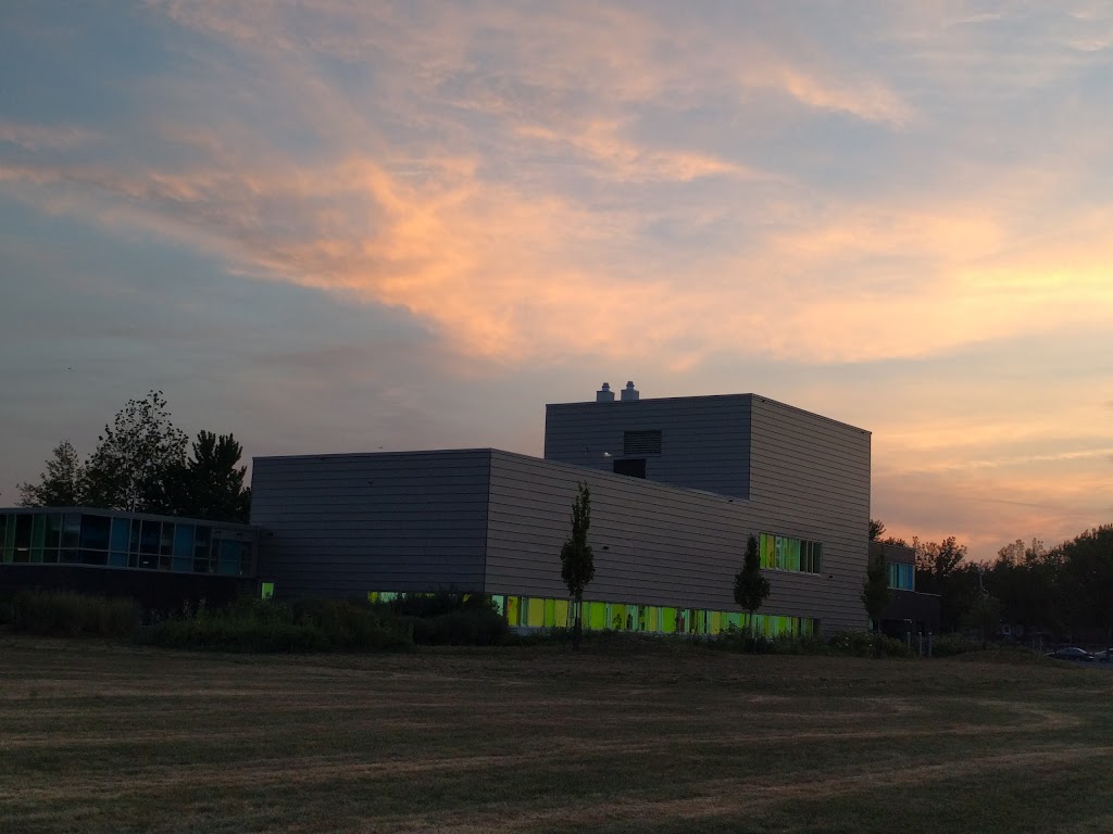Piscine Annie-Pelletier | 8850 Av. Dubuisson, Montréal, QC H1L 2W6, Canada | Phone: (514) 280-2664