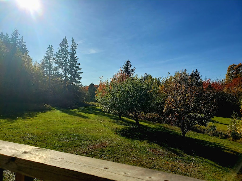 Aliah Wilson, RMT | 48 Barrachois Ln, Tatamagouche, NS B0K 1V0, Canada | Phone: (902) 957-7510