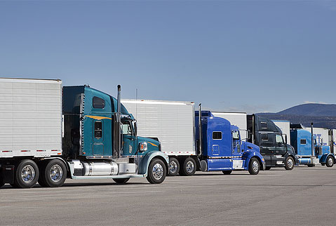 Phoenix Wise Solutions - 凤凰创意 | 多伦多网站设计 | SEO推广公司 | 9225 Leslie St, Richmond Hill, ON L4B 3H6, Canada | Phone: (647) 328-8896