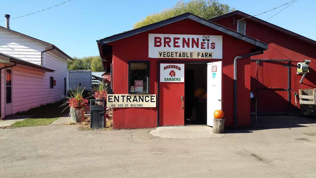 Brenneis Vegetable Garden Ltd | 16580 6 St NW, Edmonton, AB T5Y 6K7, Canada | Phone: (780) 473-7733