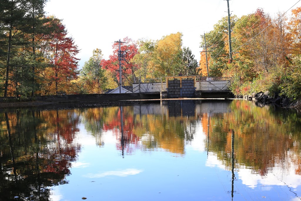 Balas Museum | 1024 Maple Ave, Bala, ON P0C 1A0, Canada | Phone: (705) 762-5876
