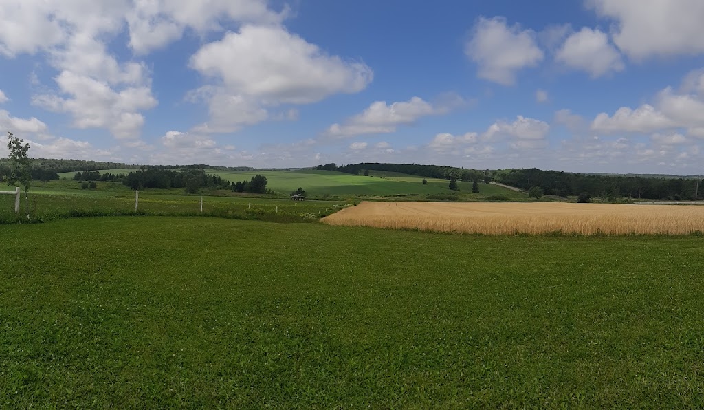 Island Hill Farm | 351 Route 225, Hampshire, PE C0A 1Y0, Canada | Phone: (902) 218-1673