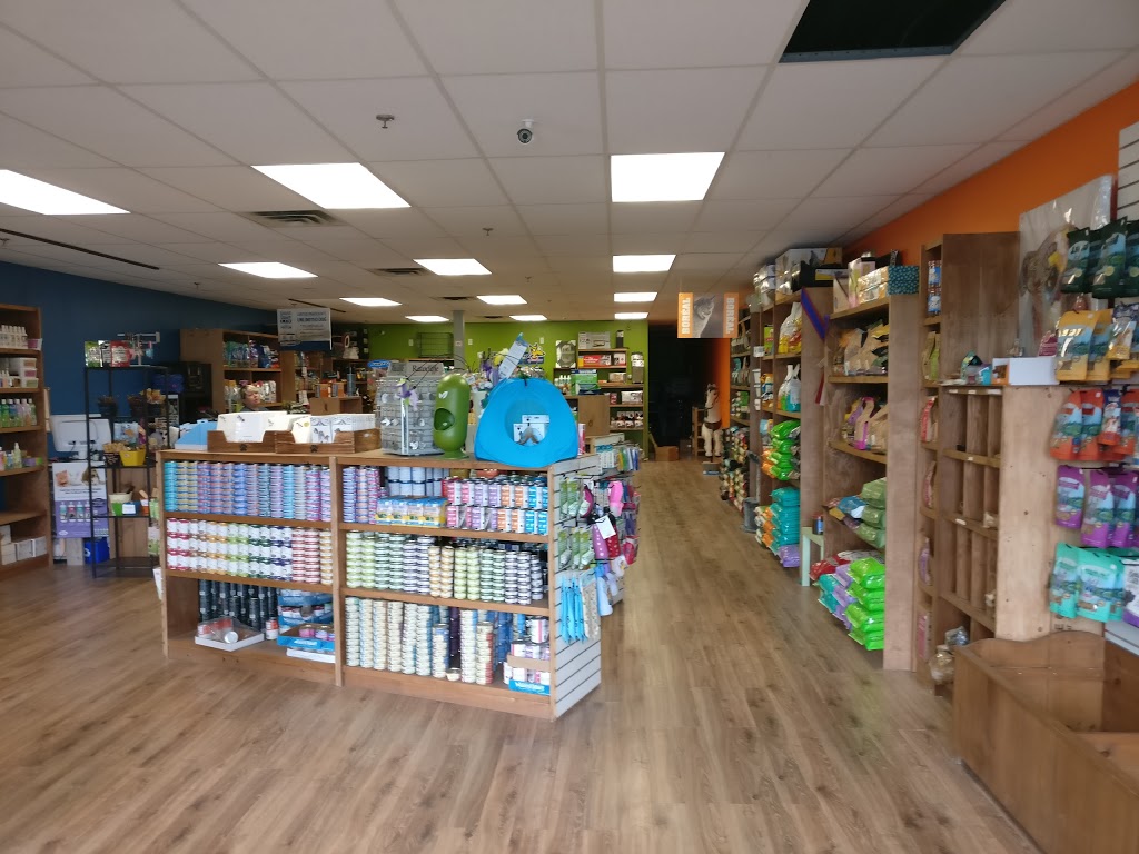 Critter Comforts Napanee | 113 Richmond Blvd, Napanee, ON K7R 3Z8, Canada | Phone: (613) 354-1758