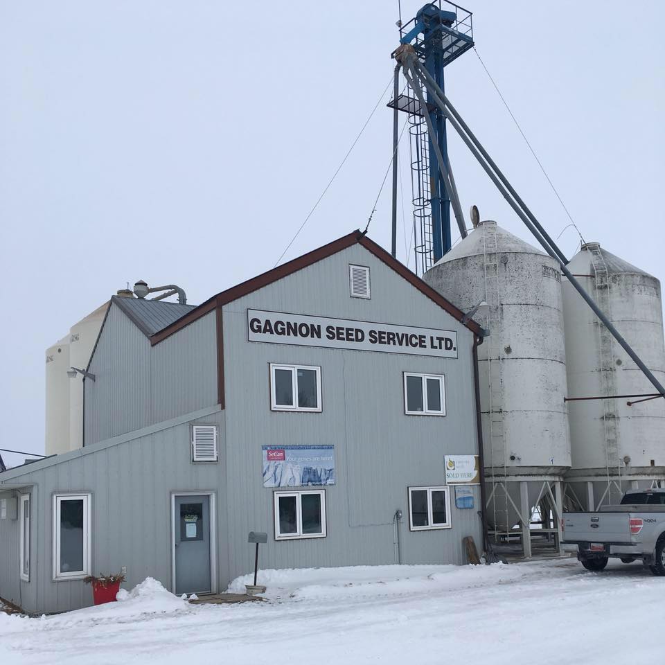 Gagnon Seeds Ltd | R.R. 2, Ste Rose Du Lac, Ste. Amélie, MB R0L 1S0, Canada | Phone: (204) 447-2118