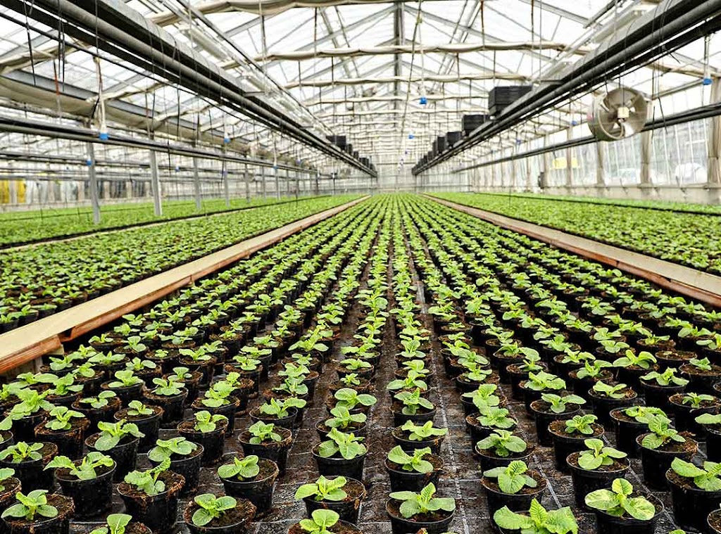 Gaspar Technologies Inc. | de lIle d, 1807 Chem. Royal, Saint-Pierre, QC G0A 4E0, Canada | Phone: (866) 427-7270