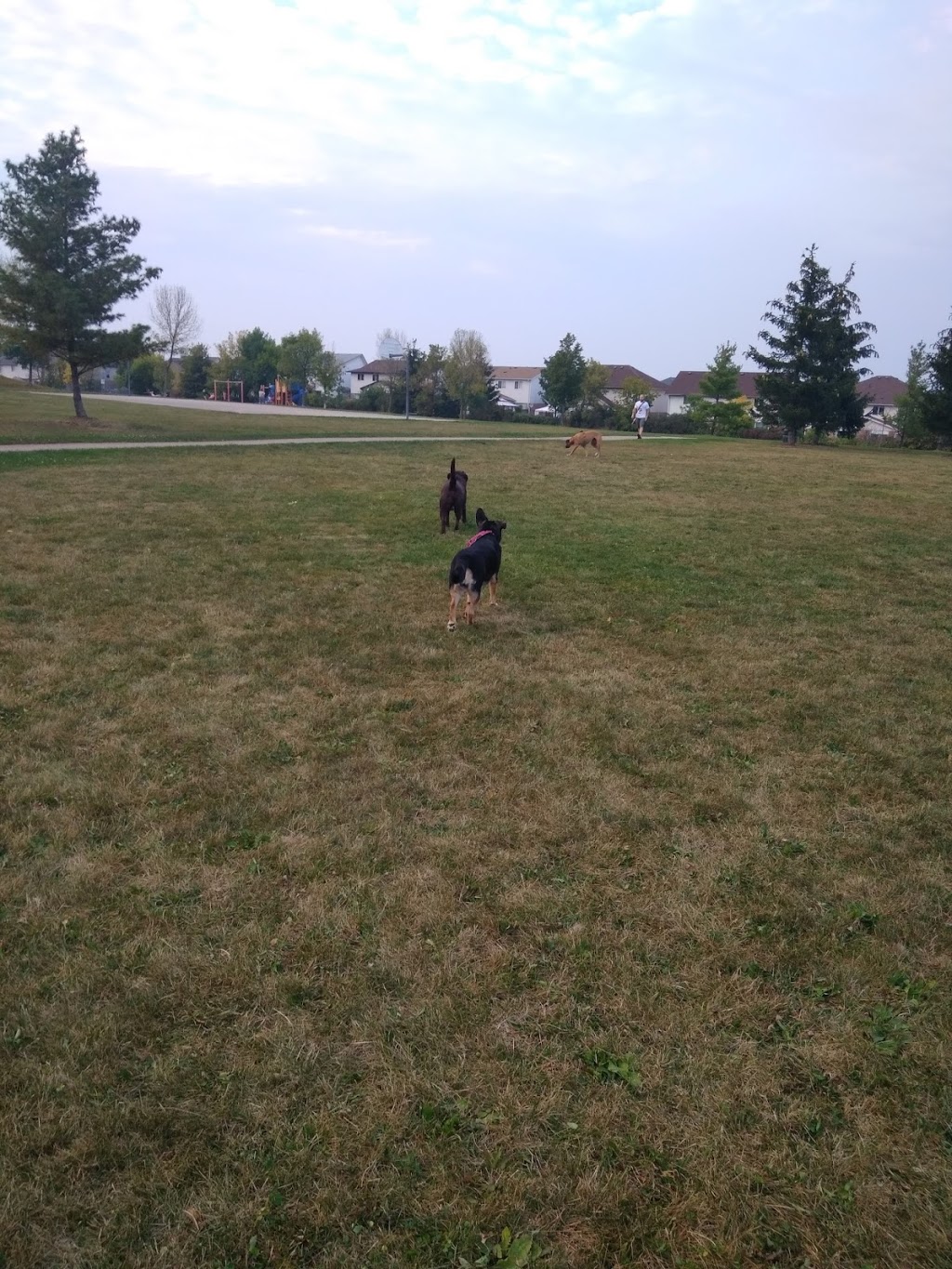 Lee Street Park | 71 Lee St, Guelph, ON N1E 7G1, Canada | Phone: (519) 822-1260