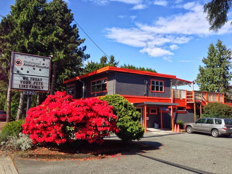 Richmond Animal Hospital Ltd | 9220 No 3 Rd, Richmond, BC V7A 1V9, Canada | Phone: (604) 277-3161