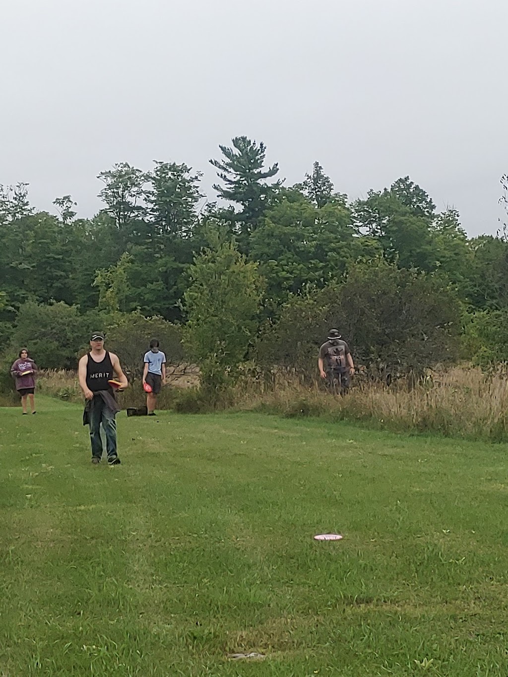 Wild Country Disc Golf in Ontario, Canada | 1157 Kawartha Lakes County Rd 121, Fenelon Falls, ON K0M 1N0, Canada | Phone: (705) 887-1719