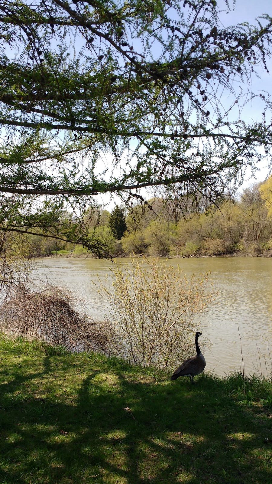 Greenway Off Leash Dog Park | Southcrest, London, ON N6J, Canada | Phone: (519) 661-4980