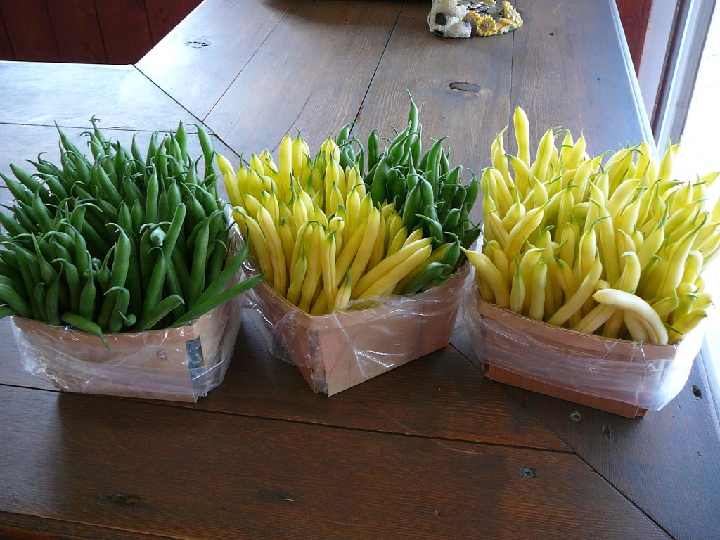 Les Jardins de la Côte Double | 248A Rang du Haut de la Rivière N, Saint-Césaire, QC J0L 1T0, Canada | Phone: (450) 460-1060
