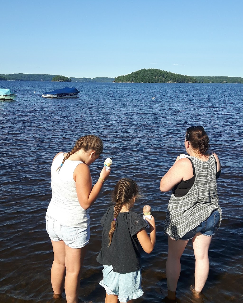 Jamiesons General Store | 653 Muskoka District Road 10, Port Sydney, ON P0B 1L0, Canada | Phone: (705) 385-2253