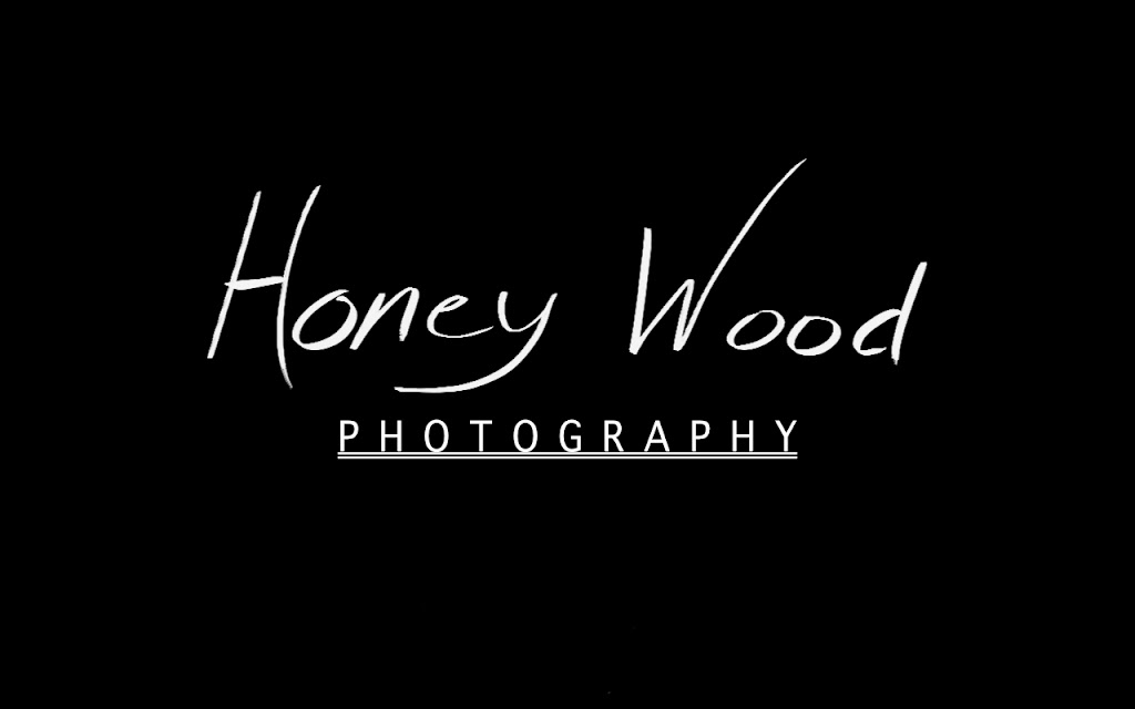 Honey Wood Photography | Sherwood Ave, Kitchener, ON N2B 1K3, Canada | Phone: (519) 998-7078