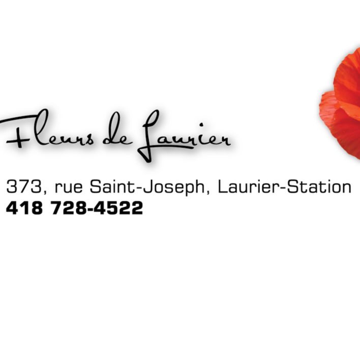 Fleurs De Laurier | clothing store | 373 Boul Saint Joseph, Laurier-Station, QC G0S 1N0, Canada | 4187284522 OR +1 418-728-4522