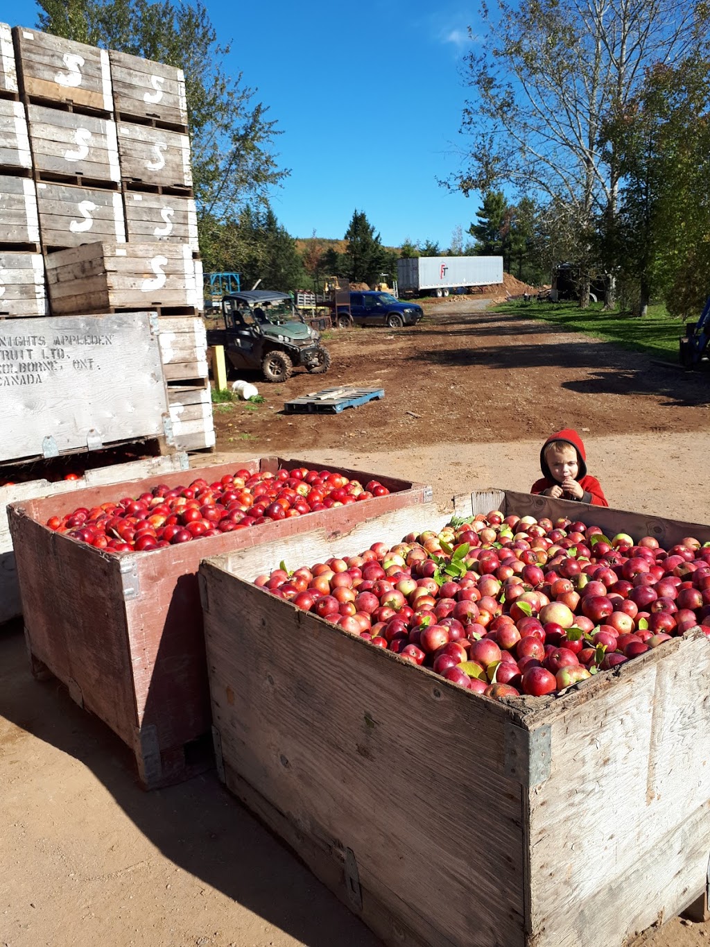 Dempsey Corner Orchards | 2717 NS-221, Aylesford, NS B0P 1C0, Canada | Phone: (902) 679-8701