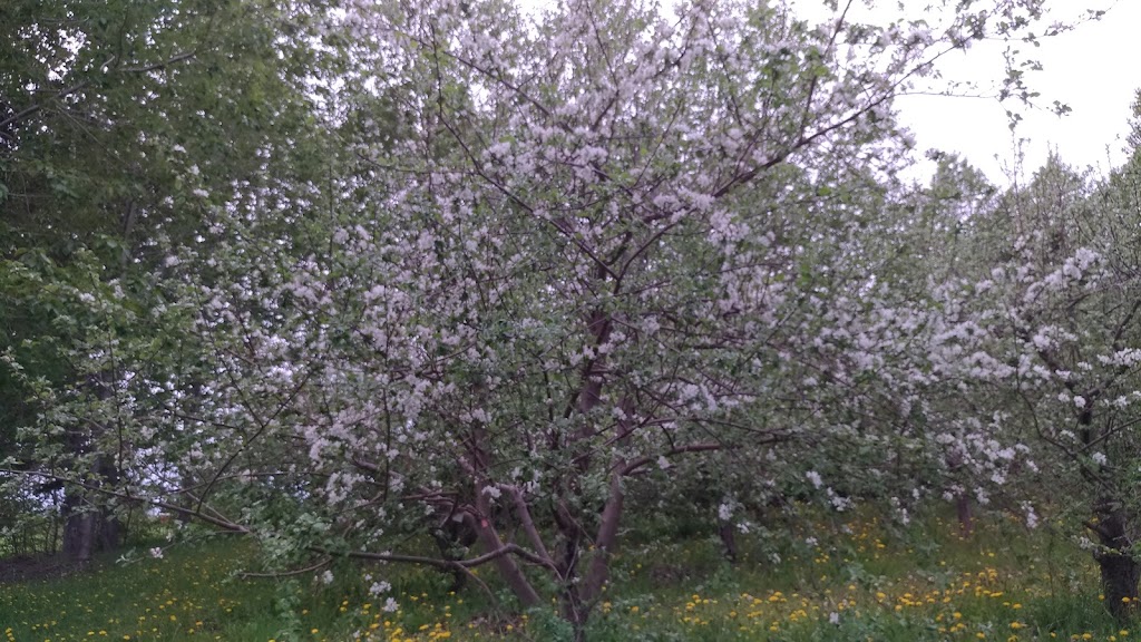 Happy LOHAS Farm | 57 Doirons LN, Milton Station, PE C0A 1N0, Canada | Phone: (778) 389-8637