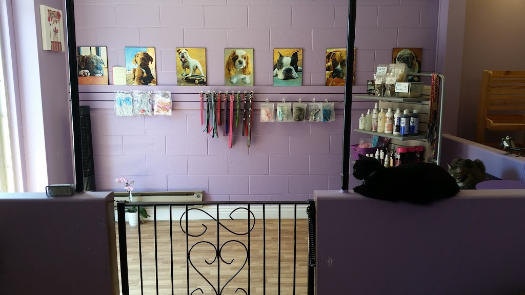 Royal Pet Spa | 140 Thorold Rd, Welland, ON L3C 3V5, Canada | Phone: (905) 735-7297